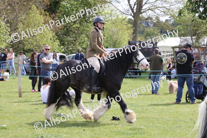 20260426-4060 - Class 33 - Best Pony 14.2hh and Under