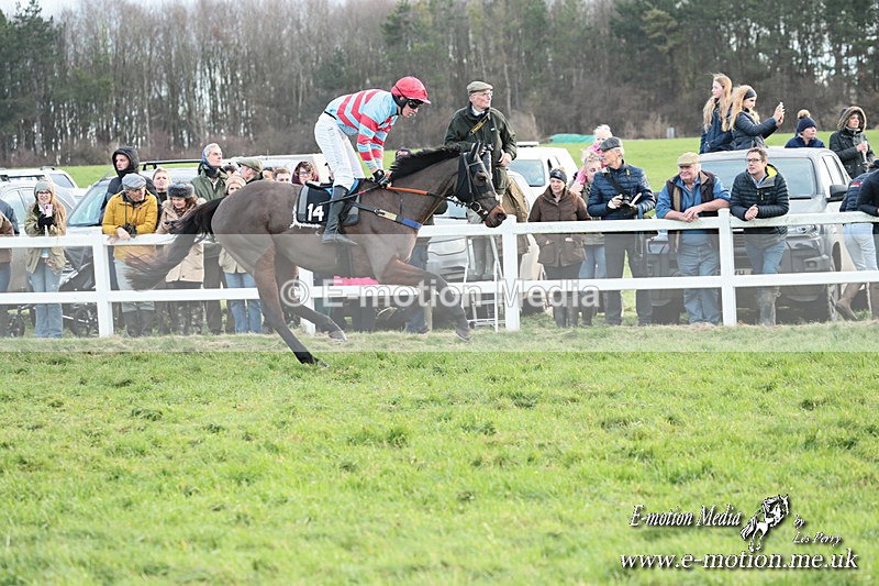 PtP 141225  2162 - New Forest Hounds PtP Larkhill 14/12/25