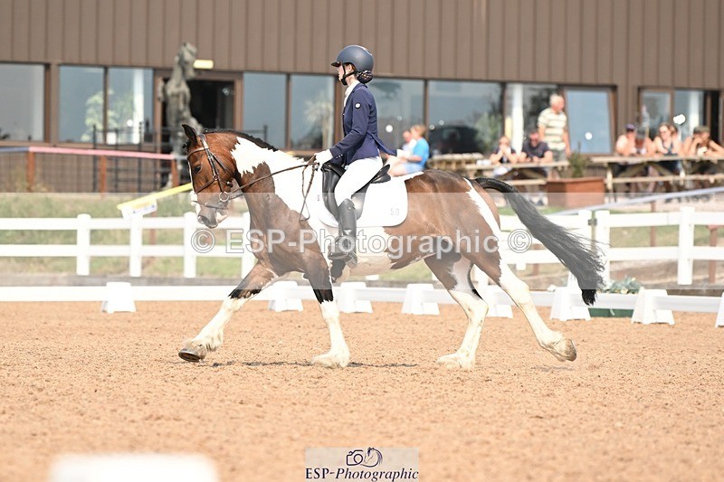 250816-140454-04996 - 050-Mollie.SheathTouch.Wood