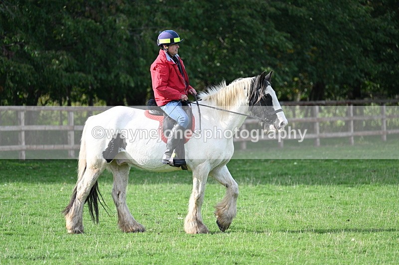 WJ7_1081 - Time 14:27 to 15:11