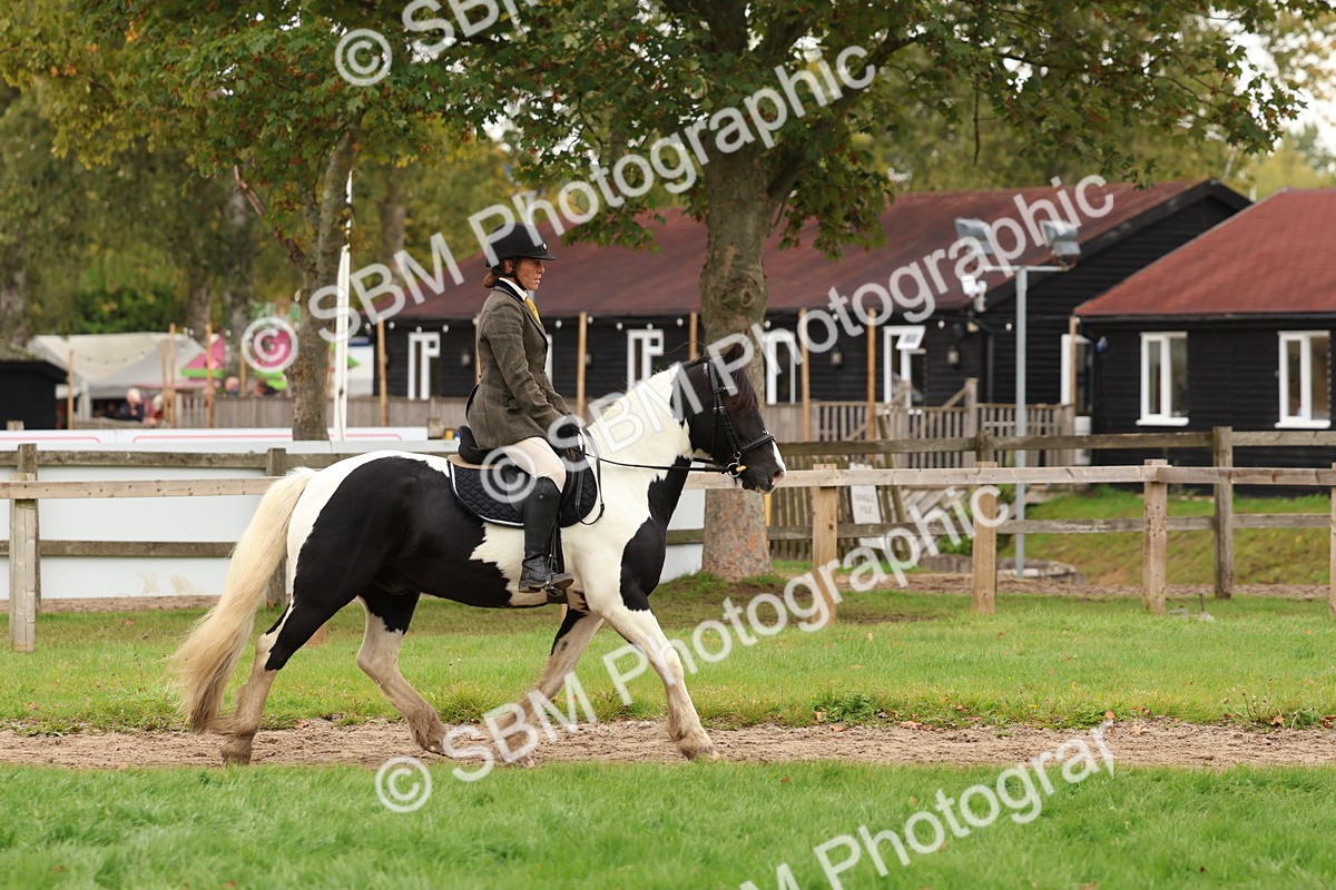 SBM_59865 - S36 - Rehabiliated Rescue Horse & Pony In Hand & Ridden