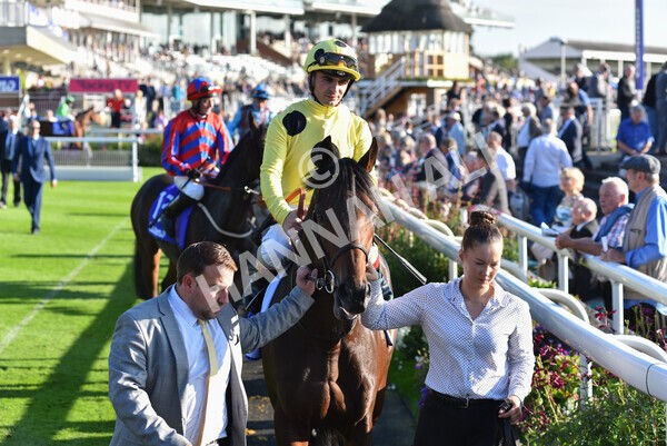 yr08102021r4-13 - Race 4 3.50pm Casumo Dare To be Different Handicap