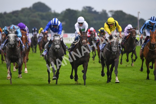 yr21082021r2-14 - Race 2 2.25pm Sky Bet Melrose Stakes