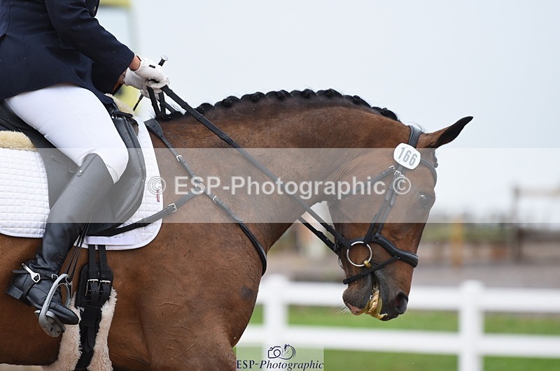 230708A-130338-01832 - Prelim 7