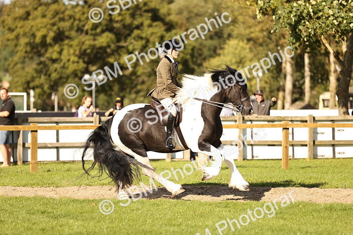 SBM_26432 - S6 - Novice & Newcomers Ridden Horse