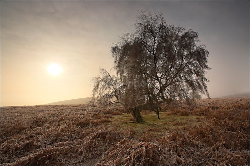 Winters Sun - Peak District Winter