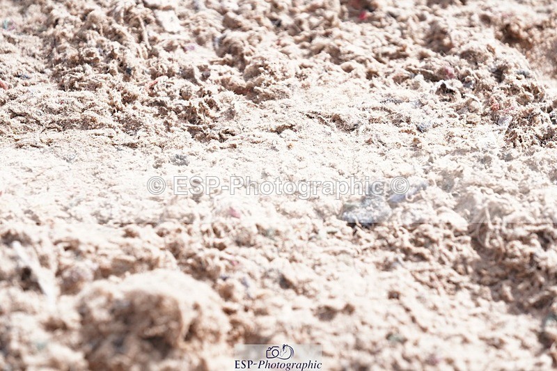 250628-094558-02933 - Cls 21 Stepping Stones