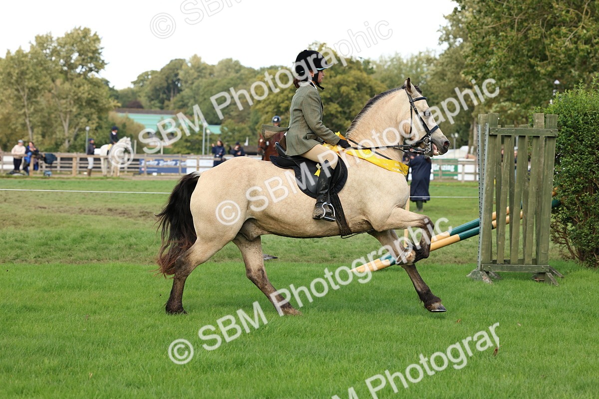 SBM_46341 - Working Hunter Pony Supreme Championship