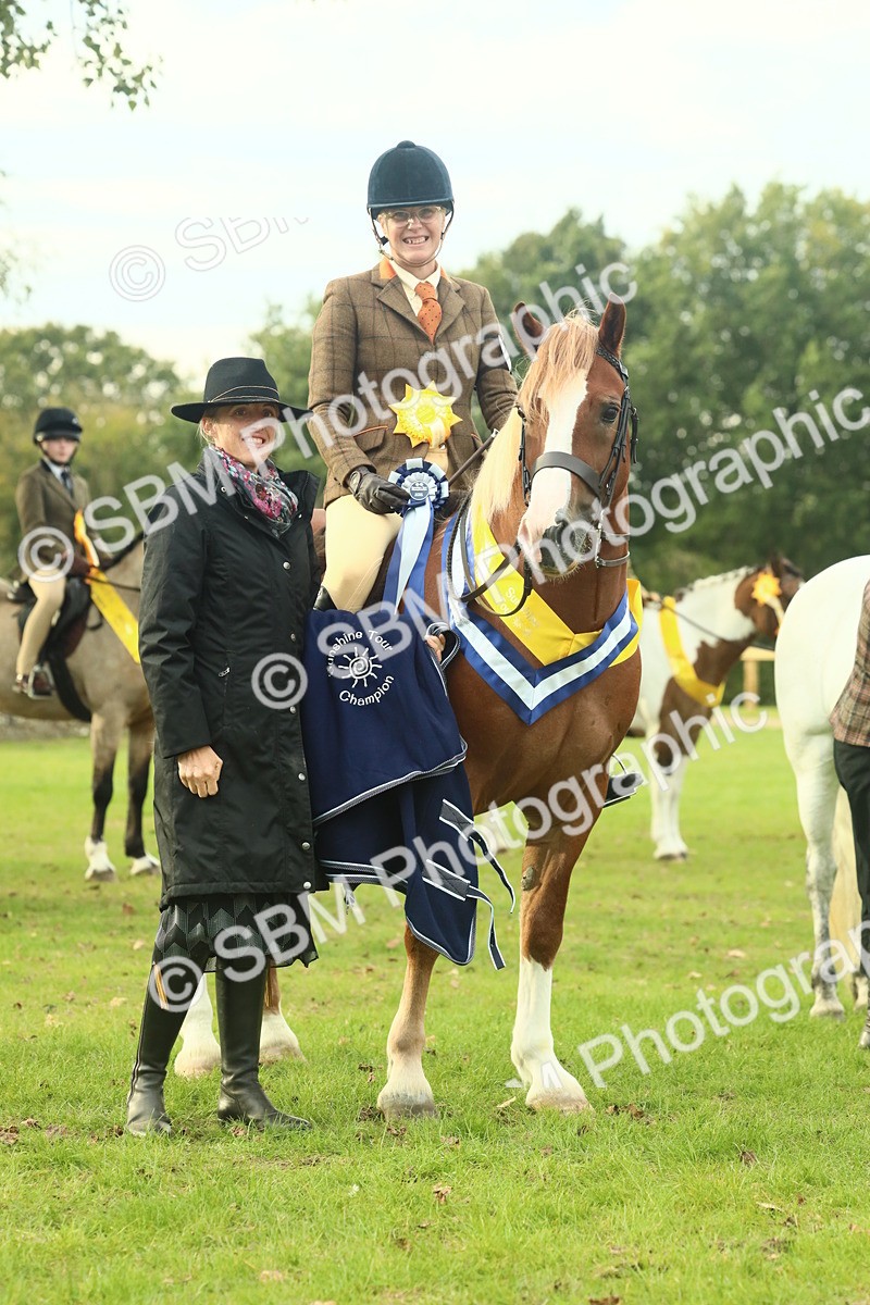 SBM_75092 - Ridden Pony Supreme Championship