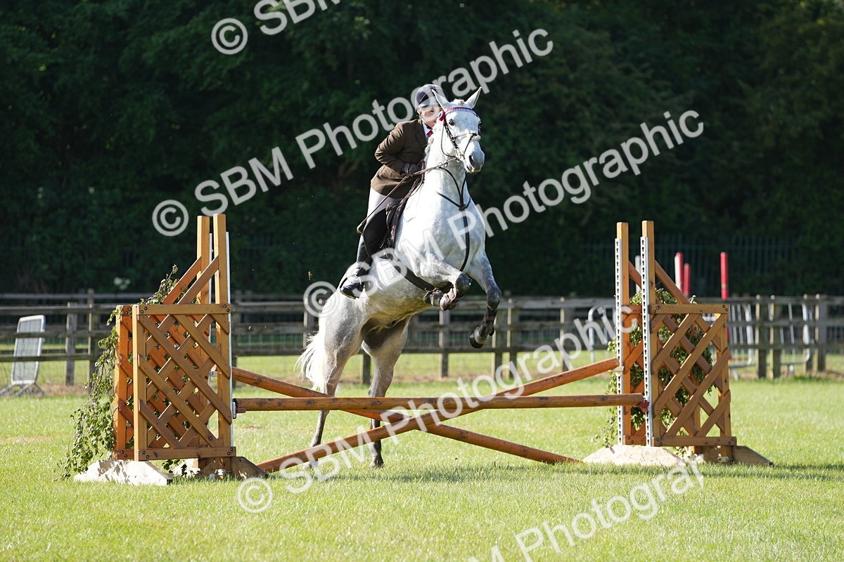 SBM_10490 - Class 97-98 - LIHS BSHA Rising Star Working Show Horse Hunter