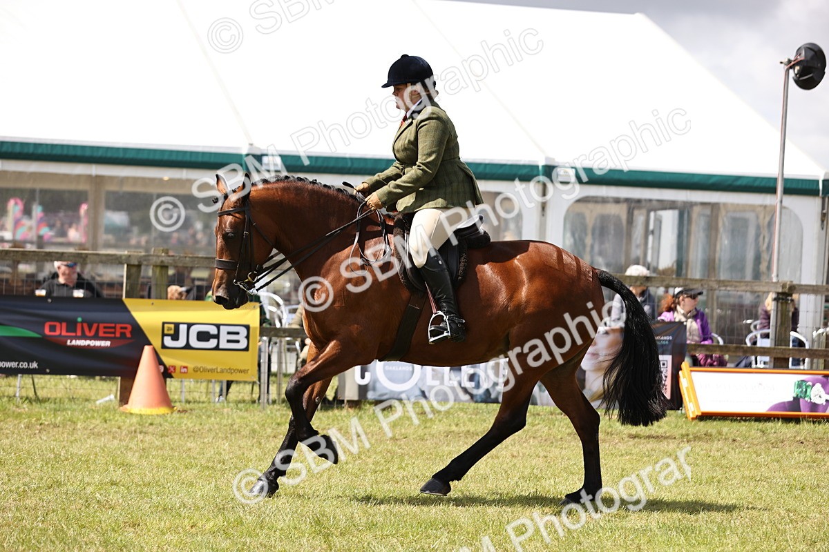 SBM_14559 - Class 88-89 - LIHS BSHA Rising Star of Ridden Hunter Type