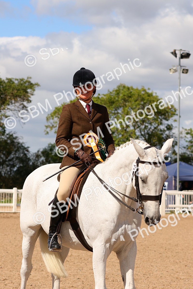 SBM_13235 - Class 211 - Ridden Hunter - Small