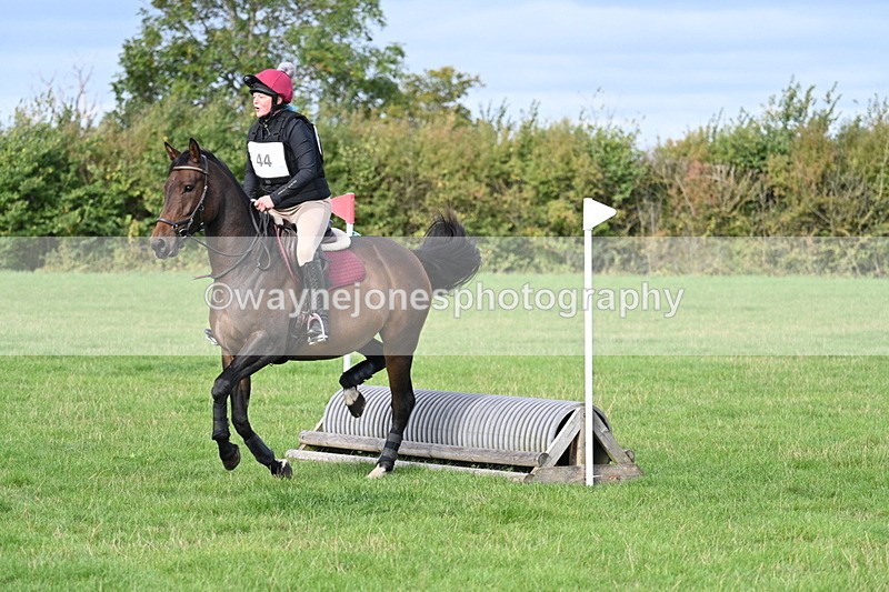 WJ7_8284 - 60cm Pairs