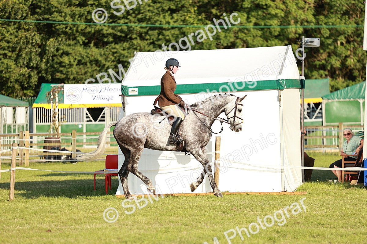 SBM_20453 - Class 117-119 - Sport Horse Working Hunter