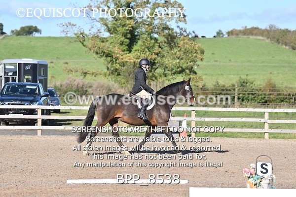 BPP_8538 - SHORT ARENA