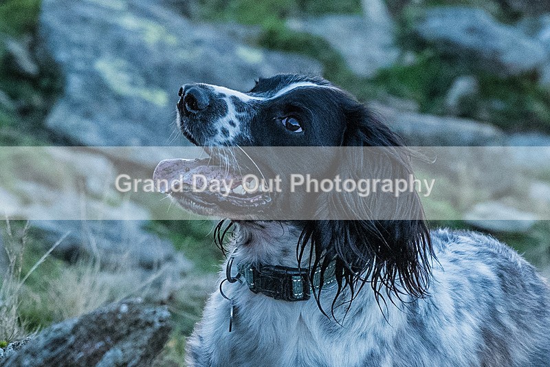 Dunnerdale-1072 - Dunnerdale Fell Race Saturday 11th November 2023