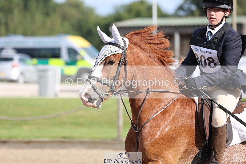 240823X-093355-14565 - 60cm R1 8.30 to 10.00