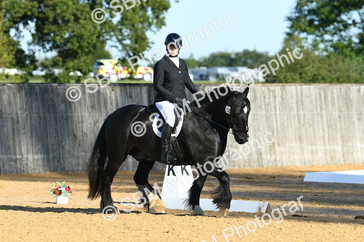 SBM_14499 - D4 - Small Tour Championship - Intro B