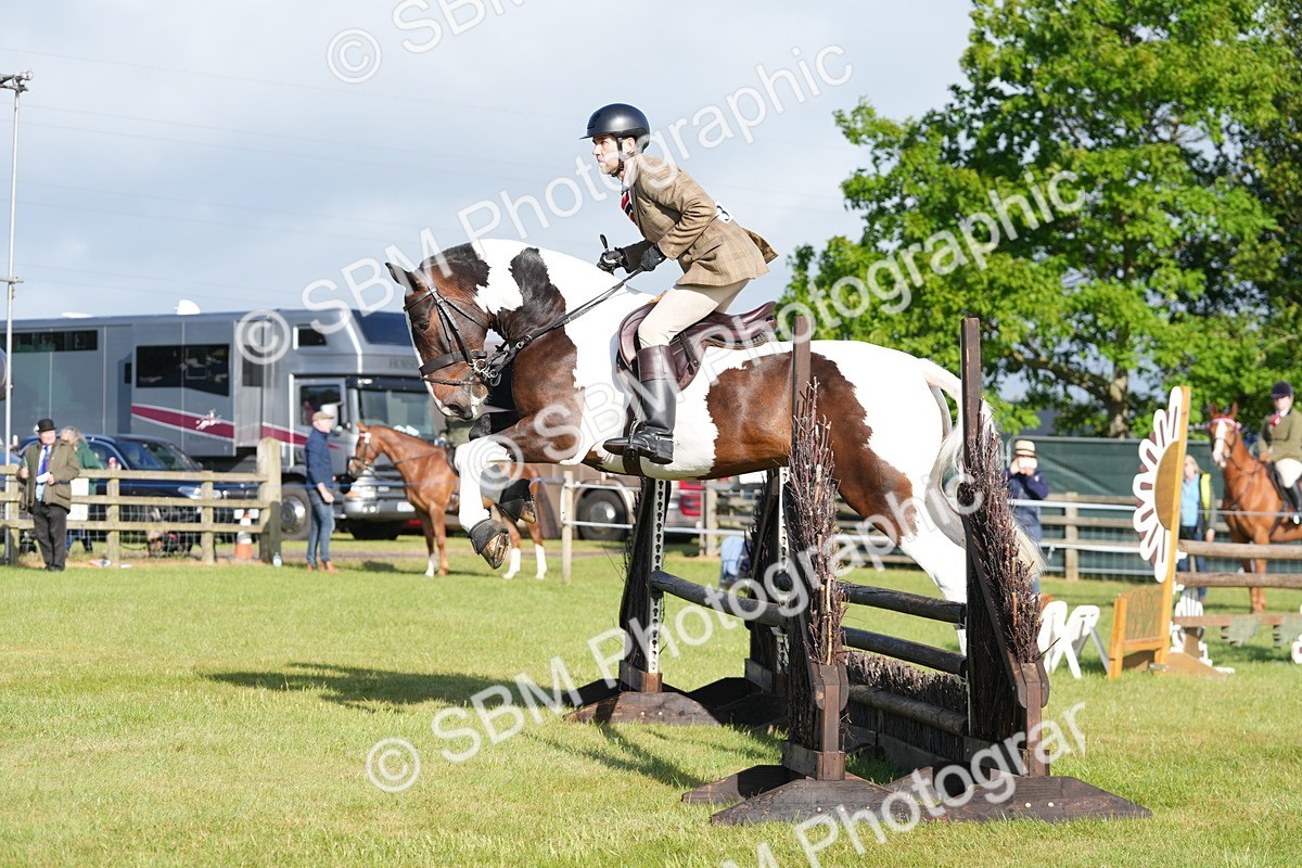 SBM_10534 - Class 97-98 - LIHS BSHA Rising Star Working Show Horse Hunter