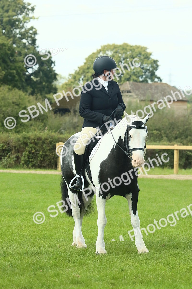 SBM_66427 - S34 - Rehabilitated Rescue Horse & Pony In Hand & Ridden
