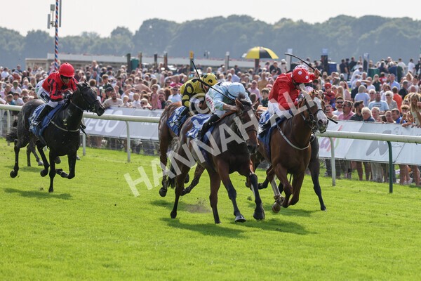 yr05092021r1-22 - Race 1 2.10pm IRE-Incentive It Pays To Buy Irish ebfstallions.com Novice Stakes