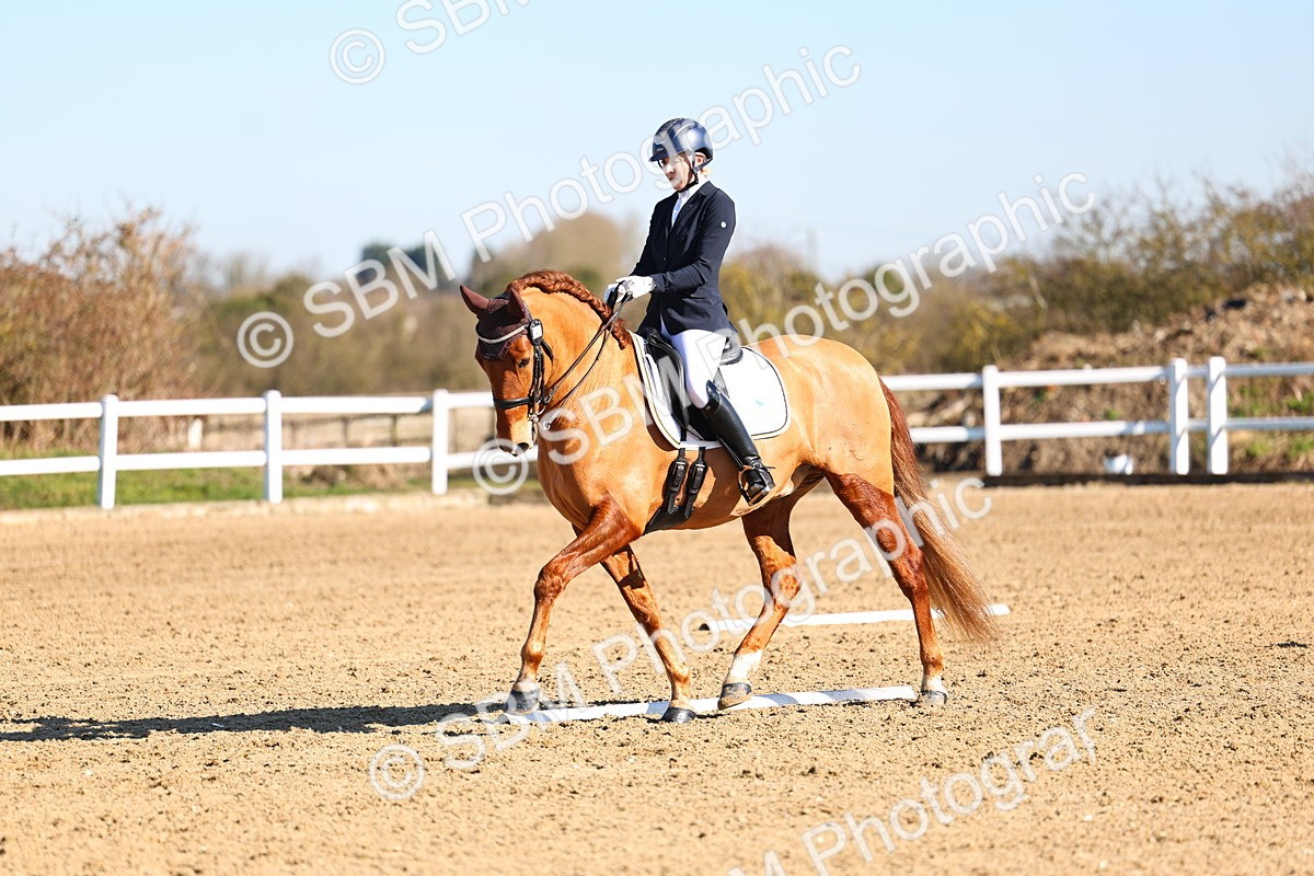 026A8495 - Class 2-6-5-4 - Paso Doble-Sevilla-Golega-Novato