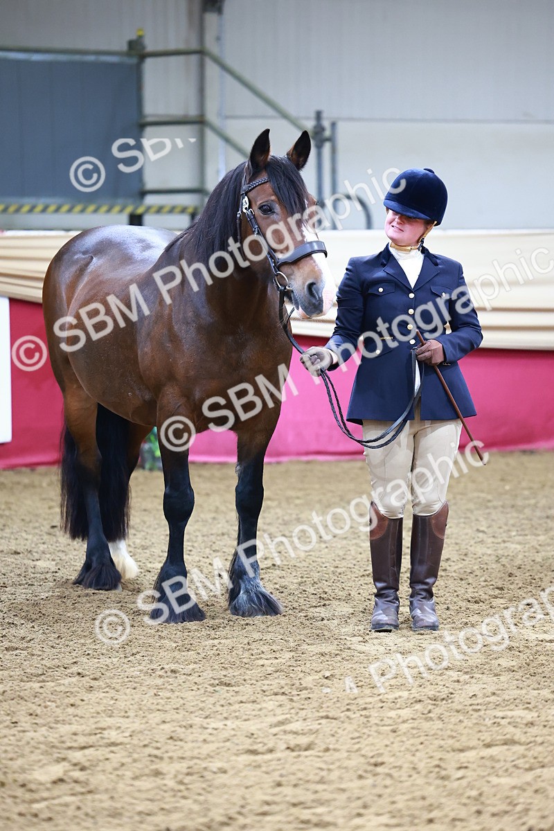 SBM_21809 - Class 901 - Supreme Final - IH  Diamond