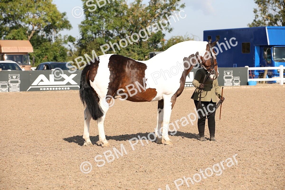 SBM_01467 - Class 15 IH Coloured