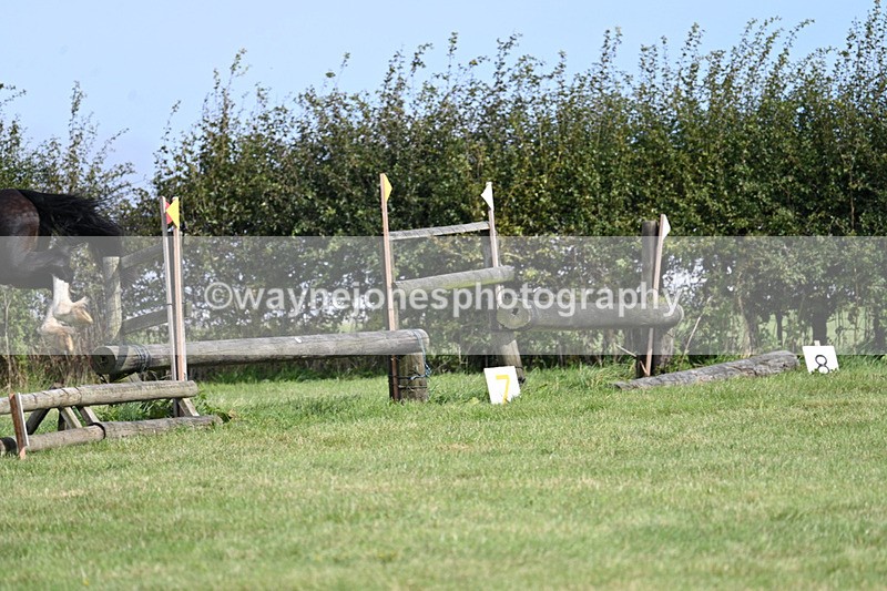 WJ7_6205 - Time 11:29 to 11:45