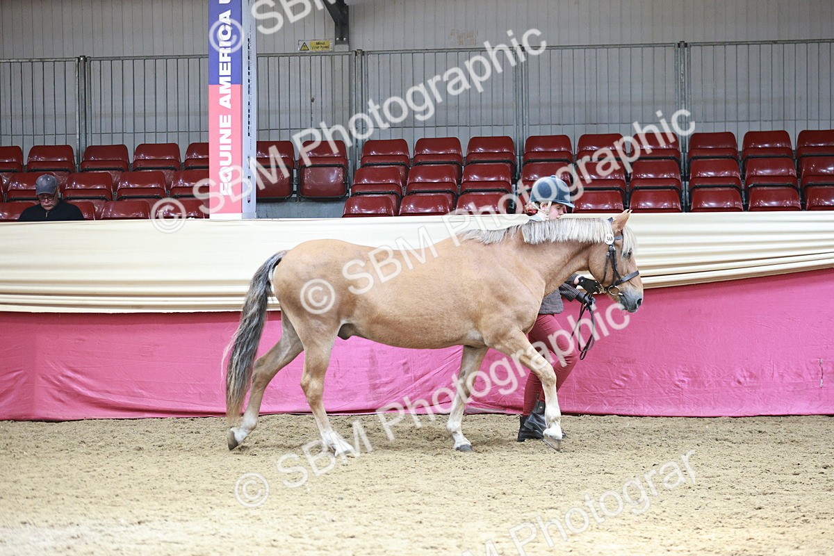 SBM_04702 - Class 7R - Regional IH Diamond