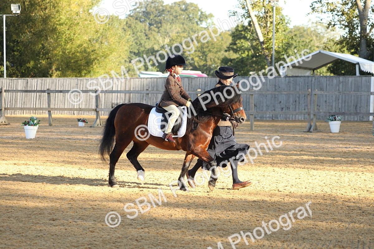 SBM_33666 - D26 - Starers - Lead Rein