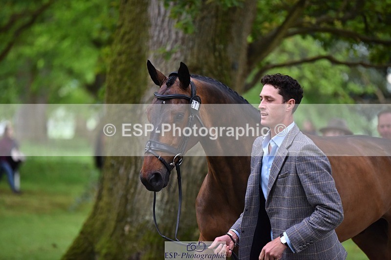 240522-172222-01555 - 277-MACKENZY-Will_Rawlin