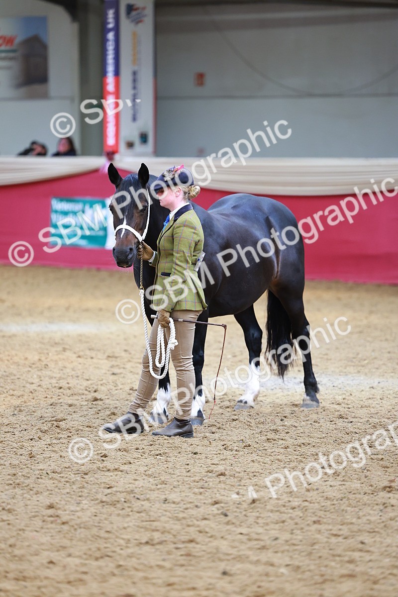 SBM_04315 - Class 9R - IH Pre-Vet