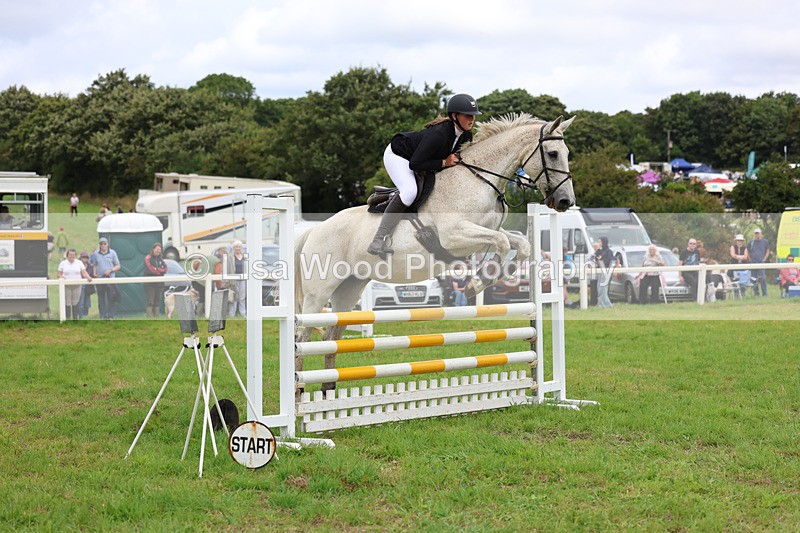 3E7A7094 - Class 5: Senior British Novice/90cm open