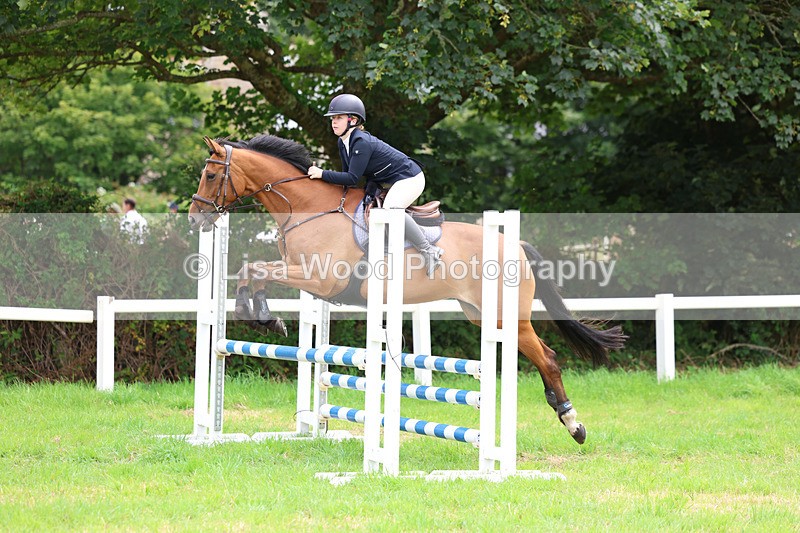 3E7A7104 - Class 5: Senior British Novice/90cm open