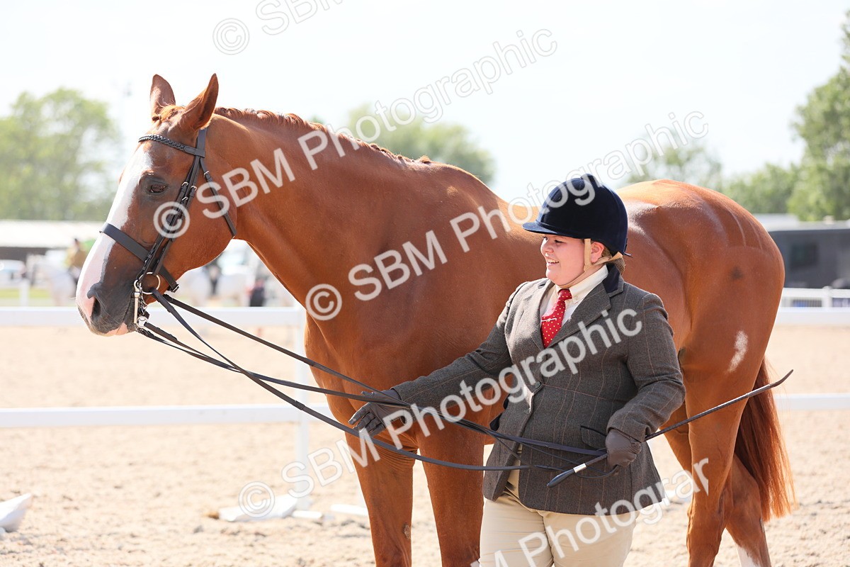 SBM_15783 - Class 312 IH Competition Horse/Pony