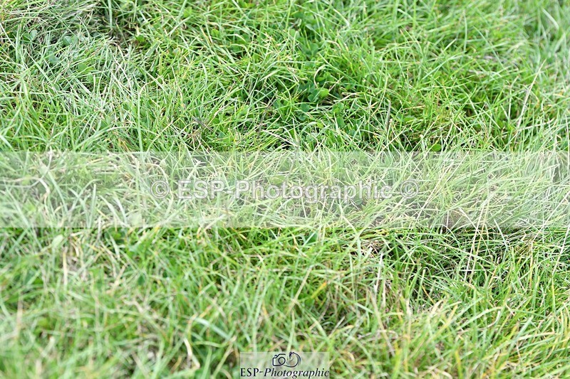 230817-141532-01221 - Theo's 1st Group - XC