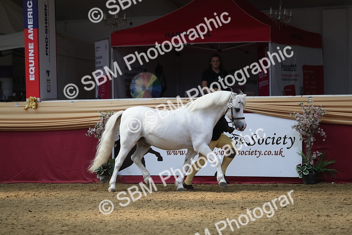 SBM_15148 - Class 501 M&M IH Supreme Final