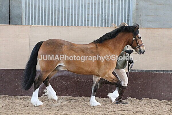 SIAL9462 - Indoor Classes