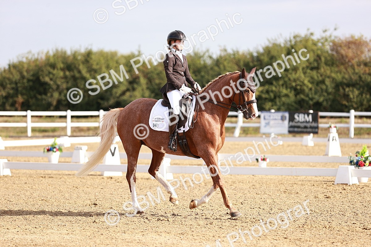 SBM_016848 - Class 10 - Medium 6