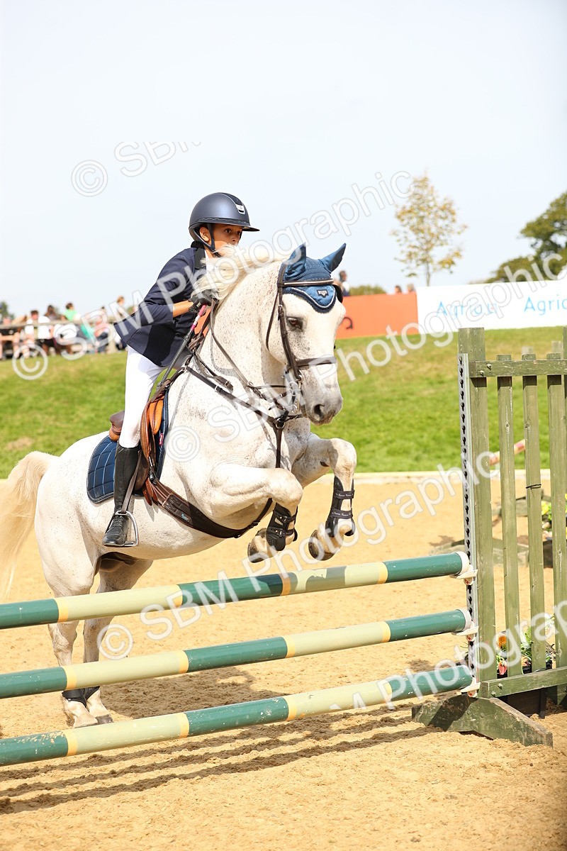 SBM_67102 - J17 - Junior Pony 80cm Championship