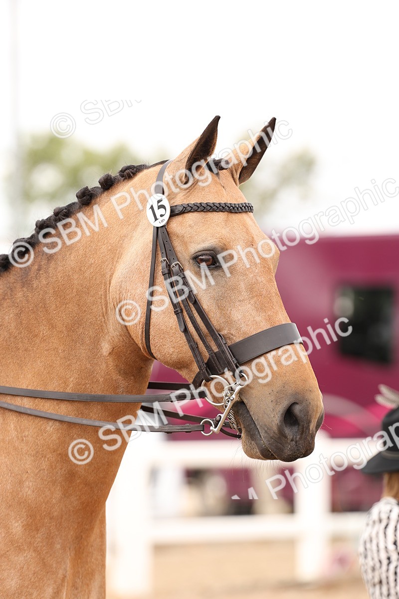 SBM_17269 - Class 213 - Ridden Hunter - Large