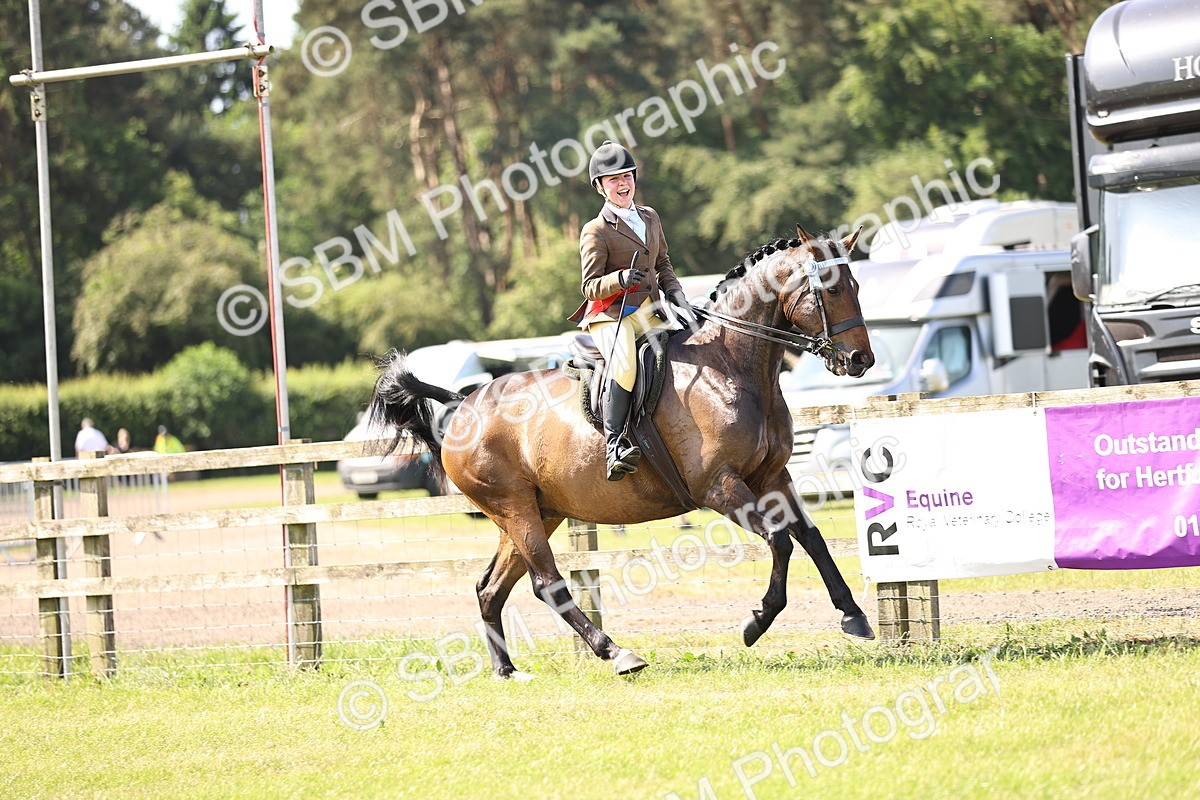 SBM_12957 - Class 75-76 LIHS BSHA Rising Star Hack Riding Horse