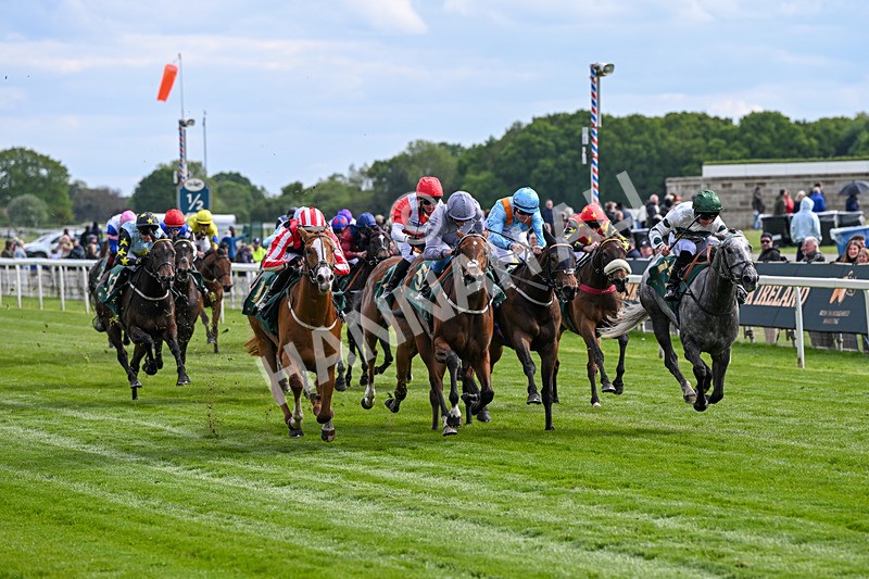 150526-Race 6-Fortification-8397 - Race 6 4.40pm Irish Thoroughbred Marketing Handicap