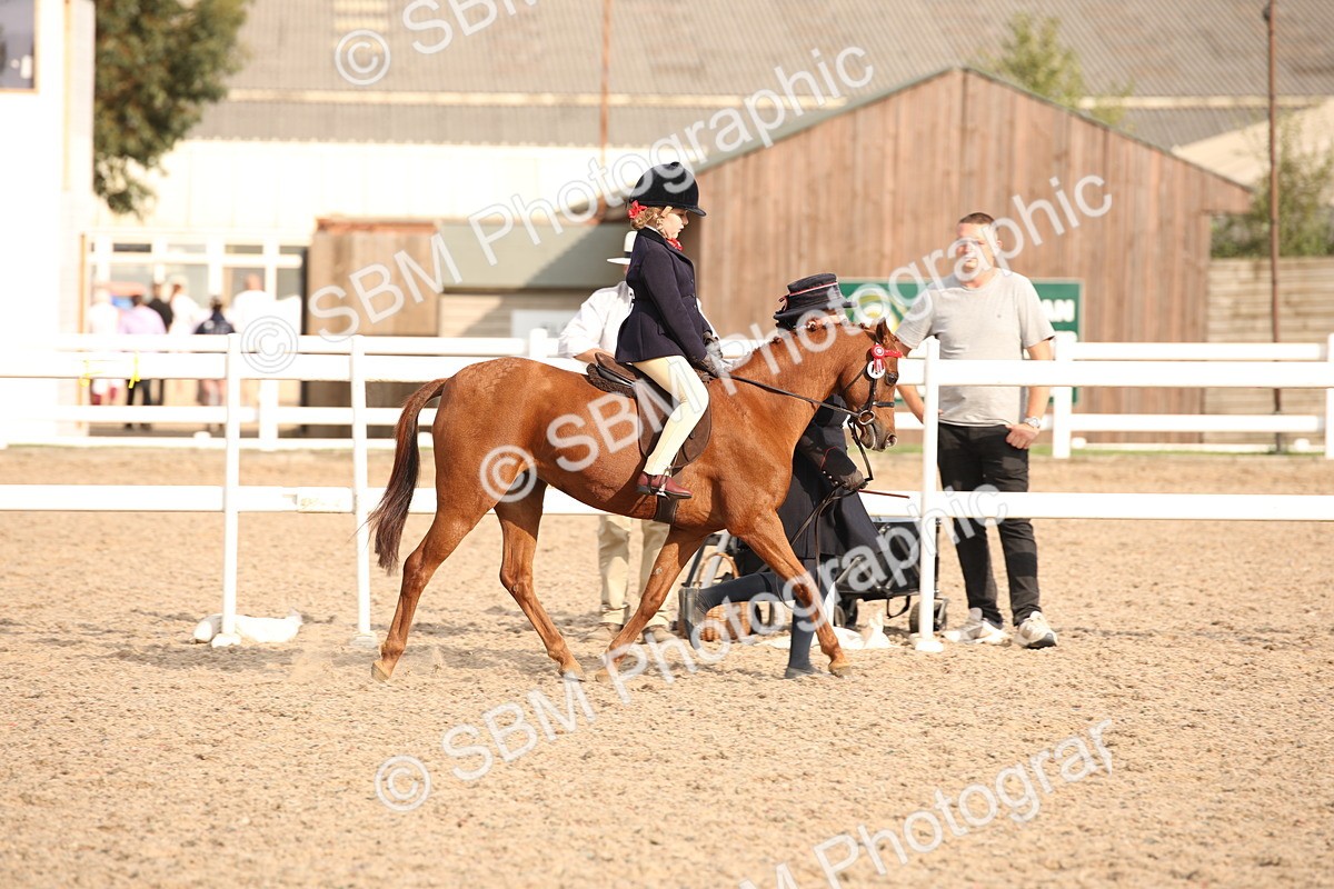 SBM_08799 - Class 12R Regional Ridden Pre-Vet