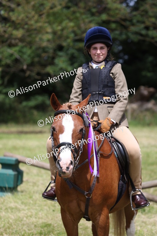 20260614-2163 - Class 21 - Novice Working Hunter Pony