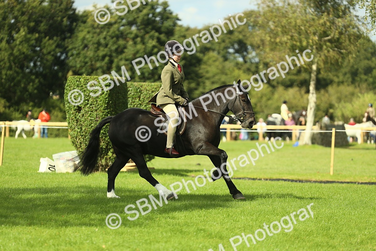 SBM_44926 - Working Hunter Pony Supreme Championship