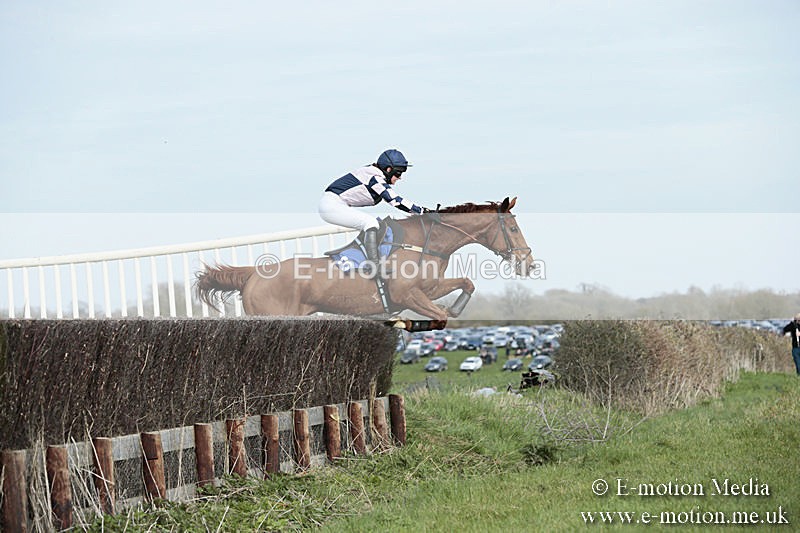 PtP 230319 360 - VWH Hunt Siddington Point-to-Point Racing 23/03/19