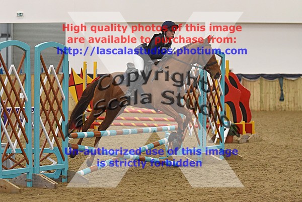 WS_0024 - Class 2a  80cm Qualifier