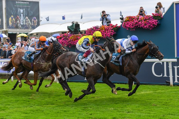 240823-Race 3-Ropey Guest-0391 - Race 3 3.00pm Clipper Handicap